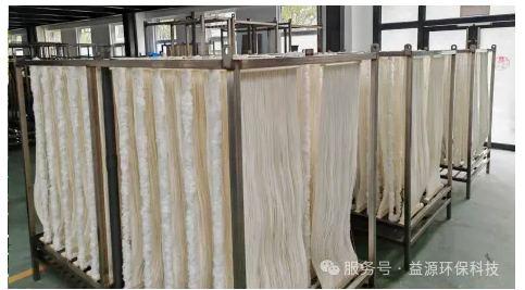 微信图片_20260226144356_402_12.png